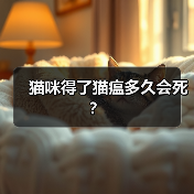 猫咪得了猫瘟多久会死？(图2)