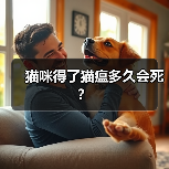 猫咪得了猫瘟多久会死？(图1)