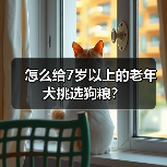怎么给7岁以上的老年犬挑选狗粮？(图2)
