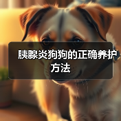 胰腺炎狗狗的正确养护方法(图4) 胰腺炎狗狗的正确养护方法(图4)