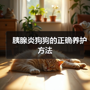 胰腺炎狗狗的正确养护方法(图2) 胰腺炎狗狗的正确养护方法(图2)