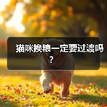 猫咪换粮一定要过渡吗？(图4)