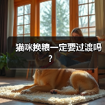 猫咪换粮一定要过渡吗？(图2)