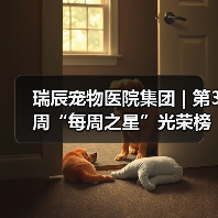 瑞辰宠物医院集团 | 第3周“每周之星”光荣榜(图2)