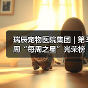 瑞辰宠物医院集团 | 第3周“每周之星”光荣榜(图3)