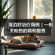 海泊舒治疗病例 | 一例犬咬伤的病例报告(图2)