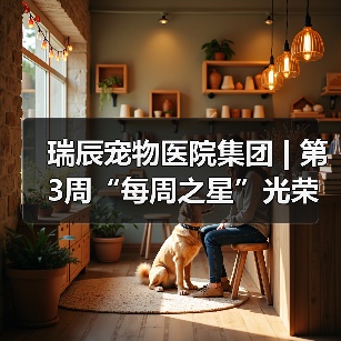瑞辰宠物医院集团 | 第3周“每周之星”光荣榜(图4)