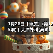 1月26日【重庆】(第125期)丨犬猫外科(高阶)班!含SUB(人人可实操)、乳糜胸等技术!(图2) 1月26日【重庆】(第125期)丨犬猫外科(高阶)班!含SUB(人人可实操)、乳糜胸等技术!(图2)