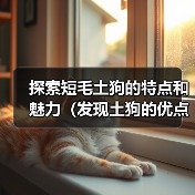 探索短毛土狗的特点和魅力(发现土狗的优点与独特之处)(图1) 探索短毛土狗的特点和魅力(发现土狗的优点与独特之处)(图1)