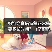 狗狗绝育后恢复正常需要多长时间？（了解狗狗绝育手术后恢复的过程和时间）(图2)