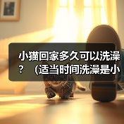 小猫回家多久可以洗澡?(适当时间洗澡是小猫健康的关键)(图2) 小猫回家多久可以洗澡?(适当时间洗澡是小猫健康的关键)(图2)
