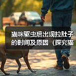 猫咪驱虫后出现拉肚子的时间及原因(探究猫咪驱虫后何时开始出现拉肚子的情况以及可能的原因)(图2) 猫咪驱虫后出现拉肚子的时间及原因(探究猫咪驱虫后何时开始出现拉肚子的情况以及可能的原因)(图2)