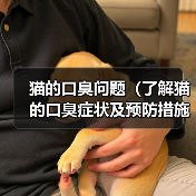 猫的口臭问题（了解猫的口臭症状及预防措施）(图3)