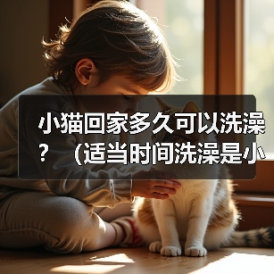 小猫回家多久可以洗澡?(适当时间洗澡是小猫健康的关键)(图3) 小猫回家多久可以洗澡?(适当时间洗澡是小猫健康的关键)(图3)