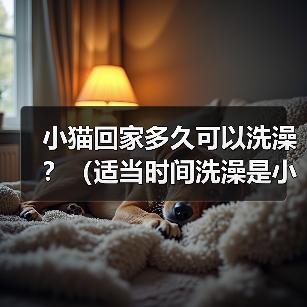 小猫回家多久可以洗澡?(适当时间洗澡是小猫健康的关键)(图1) 小猫回家多久可以洗澡?(适当时间洗澡是小猫健康的关键)(图1)