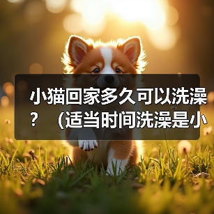 小猫回家多久可以洗澡?(适当时间洗澡是小猫健康的关键)(图4) 小猫回家多久可以洗澡?(适当时间洗澡是小猫健康的关键)(图4)