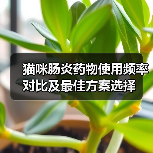 猫咪肠炎药物使用频率对比及最佳方案选择(图4) 猫咪肠炎药物使用频率对比及最佳方案选择(图4)