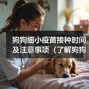 狗狗细小疫苗接种时间及注意事项(了解狗狗细小疫苗接种的最佳时机及防护措施)(图4) 狗狗细小疫苗接种时间及注意事项(了解狗狗细小疫苗接种的最佳时机及防护措施)(图4)