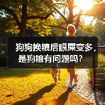 狗狗换粮后眼屎变多，是狗粮有问题吗？(图1)