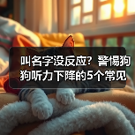 叫名字没反应?警惕狗狗听力下降的5个常见表现(图3) 叫名字没反应?警惕狗狗听力下降的5个常见表现(图3)