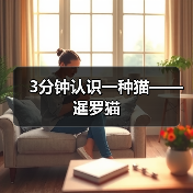 3分钟认识一种猫——暹罗猫(图1) 3分钟认识一种猫——暹罗猫(图1)