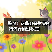 警惕!这些都是常见的狗狗食物过敏原!(图2) 警惕!这些都是常见的狗狗食物过敏原!(图2)