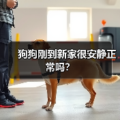 狗狗刚到新家很安静正常吗?(图2) 狗狗刚到新家很安静正常吗?(图2)