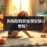狗狗刚到新家很安静正常吗?(图3) 狗狗刚到新家很安静正常吗?(图3)