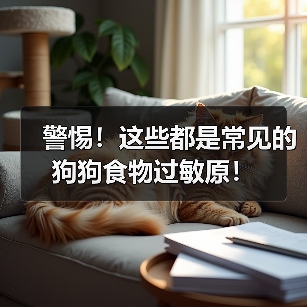警惕!这些都是常见的狗狗食物过敏原!(图4) 警惕!这些都是常见的狗狗食物过敏原!(图4)