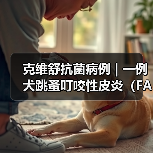 克维舒抗菌病例 | 一例犬跳蚤叮咬性皮炎(FAD)的病例分析(图3) 克维舒抗菌病例 | 一例犬跳蚤叮咬性皮炎(FAD)的病例分析(图3)