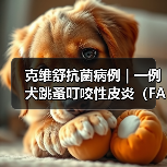 克维舒抗菌病例 | 一例犬跳蚤叮咬性皮炎(FAD)的病例分析(图4) 克维舒抗菌病例 | 一例犬跳蚤叮咬性皮炎(FAD)的病例分析(图4)