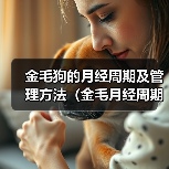 金毛狗的月经周期及管理方法(金毛月经周期、生理特征及护理方法详解)(图3) 金毛狗的月经周期及管理方法(金毛月经周期、生理特征及护理方法详解)(图3)