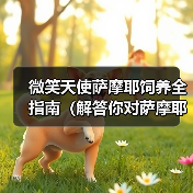 微笑天使萨摩耶饲养全指南（解答你对萨摩耶日常饲养问题的困惑）(图2)