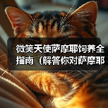 微笑天使萨摩耶饲养全指南（解答你对萨摩耶日常饲养问题的困惑）(图4)