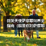 微笑天使萨摩耶饲养全指南（解答你对萨摩耶日常饲养问题的困惑）(图3)