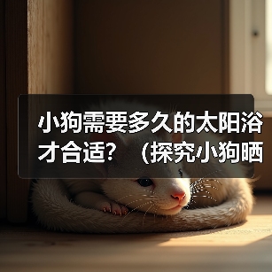 小狗需要多久的太阳浴才合适？（探究小狗晒太阳的最佳时间和时长 - 新生家伴