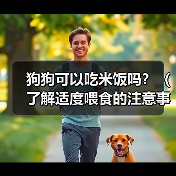 狗狗可以吃米饭吗？（了解适度喂食的注意事项和禁忌）(图4)