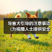 导盲犬引导的注意事项（为视障人士提供安全和自由的关键）(图3)