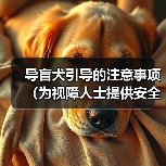 导盲犬引导的注意事项（为视障人士提供安全和自由的关键）(图4)