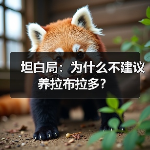 坦白局：为什么不建议养拉布拉多？ - 新生家伴