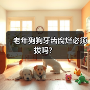 老年狗狗牙齿腐烂必须拔吗?(图4) 老年狗狗牙齿腐烂必须拔吗?(图4)