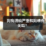 狗狗泪痕严重和狗粮有关吗?(图2) 狗狗泪痕严重和狗粮有关吗?(图2)