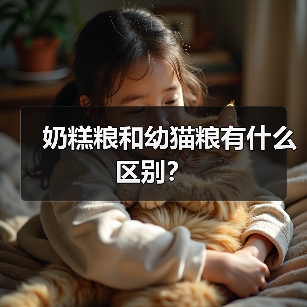 奶糕粮和幼猫粮有什么区别?(图3) 奶糕粮和幼猫粮有什么区别?(图3)