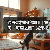 瑞辰宠物医院集团 | 第3周“每周之星”光荣榜(图2) 瑞辰宠物医院集团 | 第3周“每周之星”光荣榜(图2)