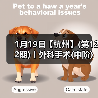1月19日【杭州】(第122期)丨外科手术(中阶)实战班,2人/组提供一猫一狗,实操超多!(图3) 1月19日【杭州】(第122期)丨外科手术(中阶)实战班,2人/组提供一猫一狗,实操超多!(图3)