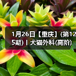 1月26日【重庆】(第125期)丨犬猫外科(高阶)班！含SUB(人人可实操)、乳糜胸等技术！(图3)