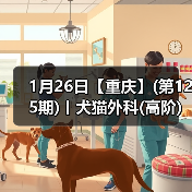 1月26日【重庆】(第125期)丨犬猫外科(高阶)班！含SUB(人人可实操)、乳糜胸等技术！(图4)