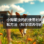 小狗驱虫药的使用时间和方法(科学喂养你的小狗,健康守护从驱虫开始)(图4) 小狗驱虫药的使用时间和方法(科学喂养你的小狗,健康守护从驱虫开始)(图4)
