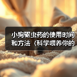 小狗驱虫药的使用时间和方法(科学喂养你的小狗,健康守护从驱虫开始)(图1) 小狗驱虫药的使用时间和方法(科学喂养你的小狗,健康守护从驱虫开始)(图1)
