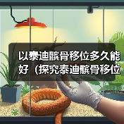 以泰迪髌骨移位多久能好(探究泰迪髌骨移位康复时间,了解关键因素与治疗方法)(图4) 以泰迪髌骨移位多久能好(探究泰迪髌骨移位康复时间,了解关键因素与治疗方法)(图4)